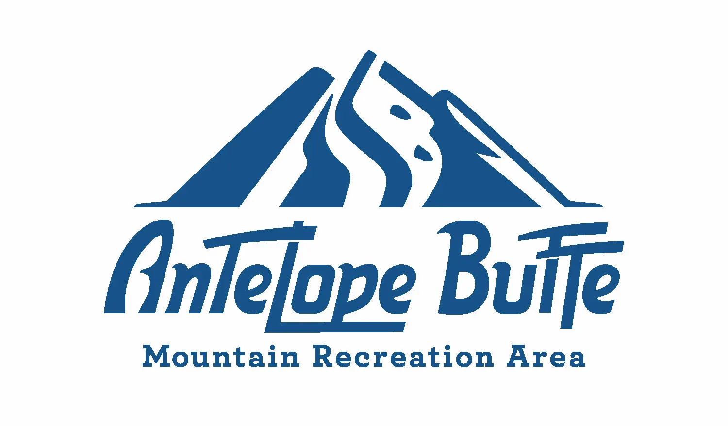 Experienced Lift Maintenance Mechanic