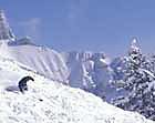 Group Led by Read Purchases Mt. Norquay