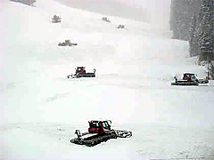 Mixed Conditions Accelerate, Delay Openings