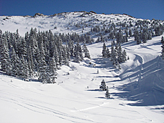 Arapaho Basin Unwraps New Terrain