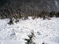 Avalanches at Sugarloaf Leave 200 Foot Debris Fields