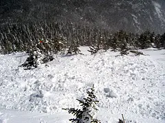 Avalanches at Sugarloaf Leave 200 Foot Debris Fields