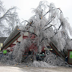 New England Resorts Recover From Ice Storm