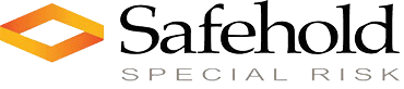 Safehold Special Risk