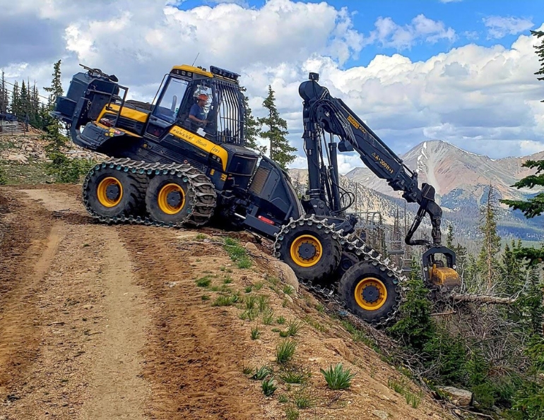 Getting to the Root of Forest Management