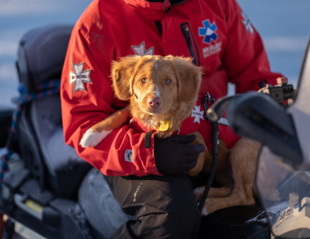 Mt. Buller Ski Patrol Adds Therapy Dog in Emotional Support Pilot