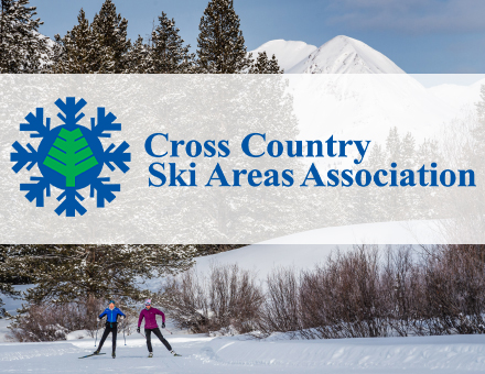 CCSAA Survey Profiles XC Participants