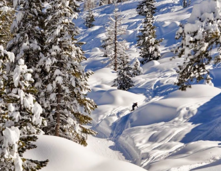 Indy Pass Adds Mountain High and Dodge Ridge