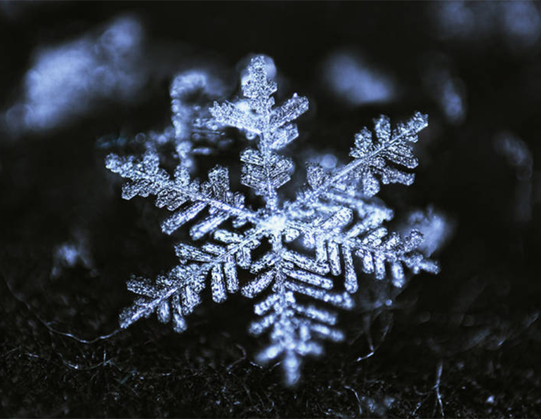 NSAA Joins Outdoor Trade Associations in Climate Partnership