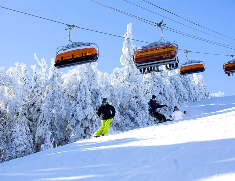 Vail Resorts to Acquire Okemo, Crested Butte, Stevens, Sunapee