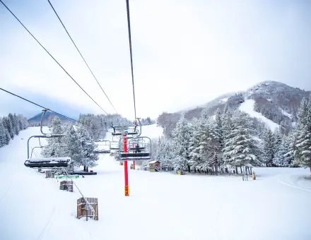 Patrol Covid Outbreak Temporarily Shutters Hunter Mountain