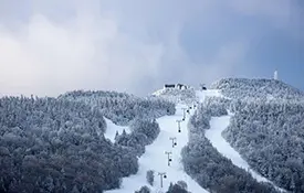 Covid Spikes at Killington