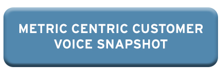 Metric Centric Customer Voice Snapshot