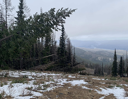 Flooding Shuts Down Washington and Oregon Ski Areas; Federal Emergency Declared