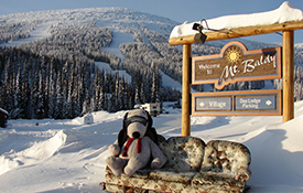 Mt. Baldy, B.C., Sale Approved