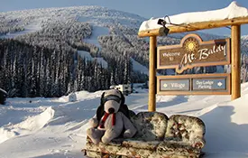 Mt. Baldy, B.C., Sale Approved