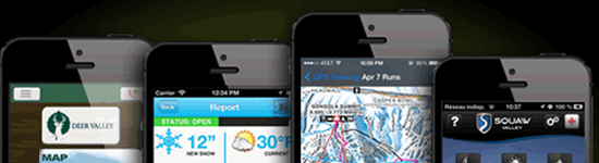 To App or Not to App, That is Todayâs Resort Marketing Question
