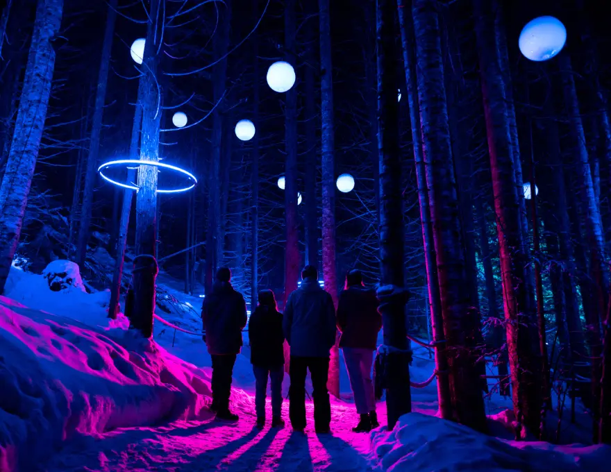 Lumina Enchanted Night Walks: Immersive, Year-Round Experiences
