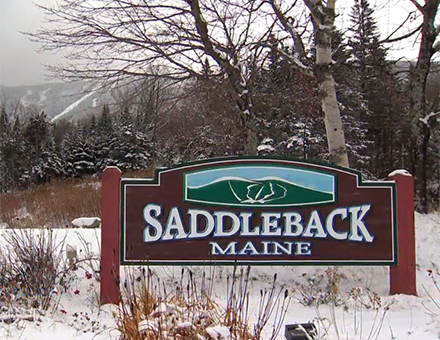 Arctaris Acquires Saddleback