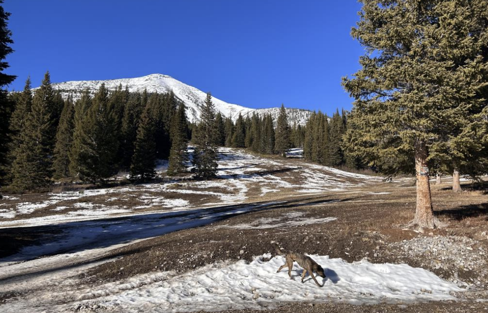 Montana’s Teton Pass Latest to Close Due to Lack of Snow