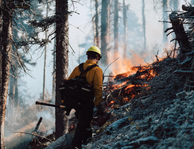 Funding the Fight Against Wildfires
