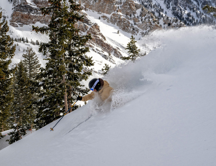 Snow Was the Answer for Presidents’ Week Business