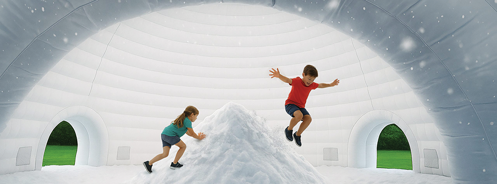 Snowdome Img 1 scaled 1