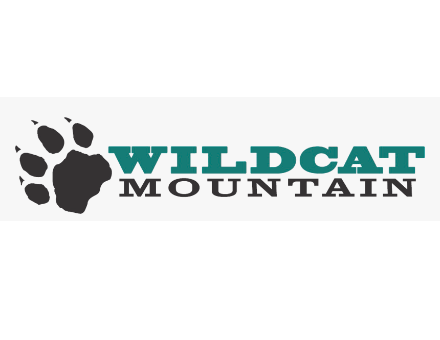 Loaded Chair Detaches, Falls at Wildcat