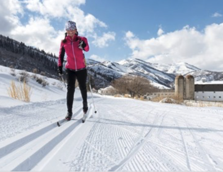 Cross Country Ski Area Survey Shows Increased Participation