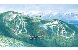 Blacktail Mountain for Sale for $3.5 million