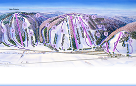 Mother and Son Purchase Snow Ridge (N.Y.)