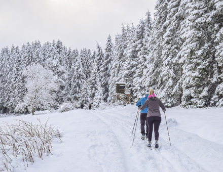 Holiday Survey Indicates Active Season Ahead