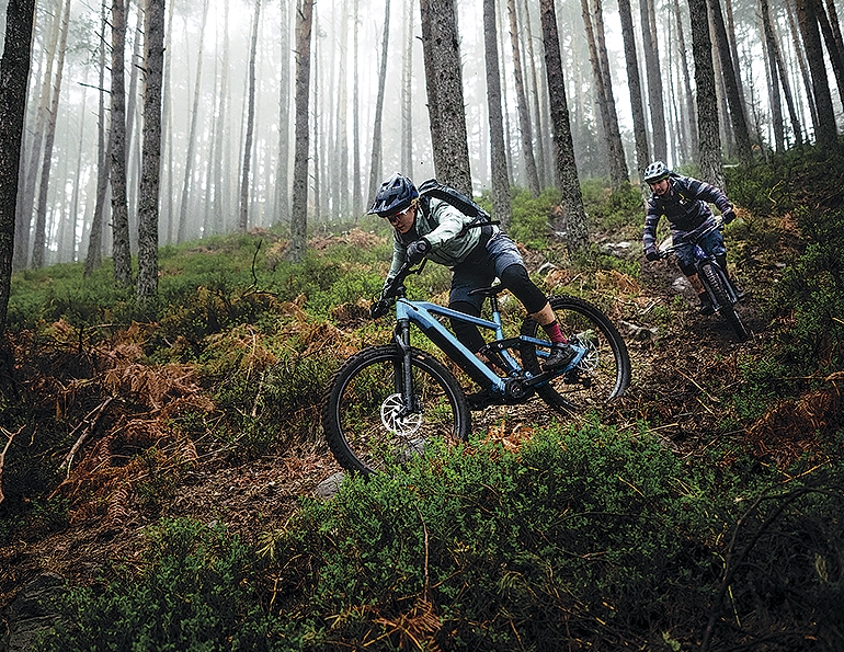 E-Bikes: Full Speed Ahead