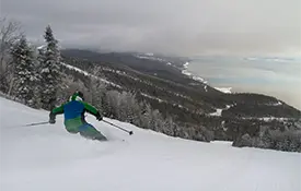 Going Strong, Hanging On, or Hanging Them Up: Late Season Status Report
