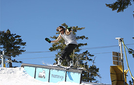 Mountain High Purchased by MHR Investor Group