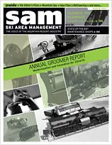 Mountain Spy March 2014 Valet Parking