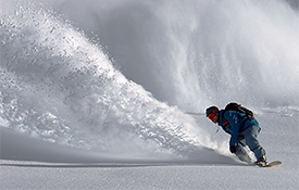 Positive Destination Trends Continue Out West