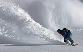 Positive Destination Trends Continue Out West