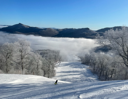 Holiday Demand Proves Strong Despite Wild Weather